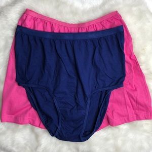 Comfort Choice 2 Pack Multicolored Panties Underwear Plus Size 1X-2X